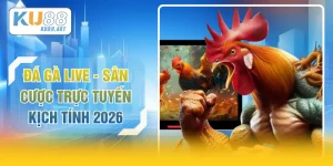 Đá Gà Live - Sân Cược Trực Tuyến Kịch Tính 2026