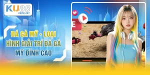 Đá Gà Mỹ - Loại Hình Giải Trí Đá Gà Mỹ Đỉnh Cao
