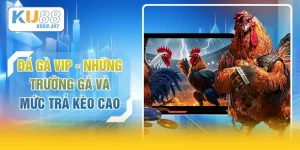Đá Gà Vip - Những Trường Gà Và Mức Trả Kèo Cao
