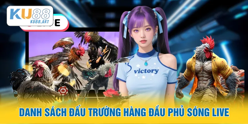 Danh sách đấu trường hàng đầu phủ sóng live