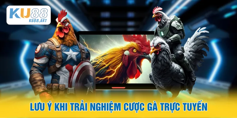 Đá Gà Live - Sân Cược Trực Tuyến Kịch Tính 2026 3 Lưu ý khi trải nghiệm cược gà trực tuyến