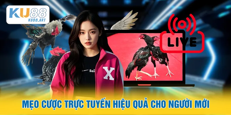 Mẹo cược trực tuyến hiệu quả cho người mới