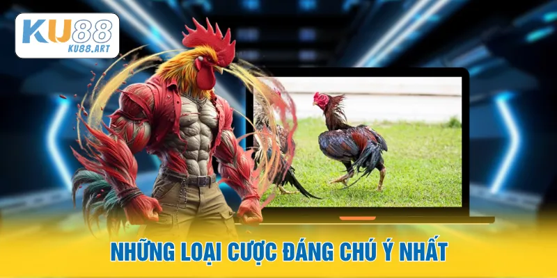 Đá Gà Live - Sân Cược Trực Tuyến Kịch Tính 2026 2 Những loại cược đáng chú ý nhất