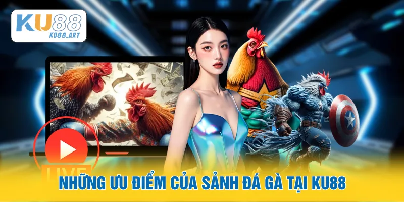 Những ưu điểm của sảnh đá gà tại KU88