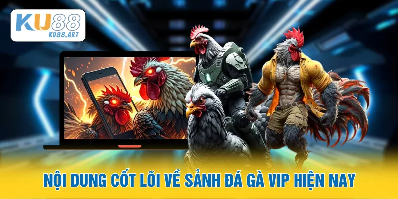 Đá Gà Vip - Những Trường Gà Và Mức Trả Kèo Cao 1 Nội dung cốt lõi về sảnh đá gà Vip hiện nay